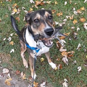 Meet your Posher, Haley